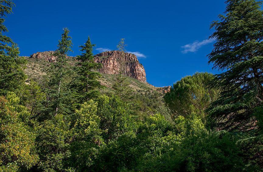 Briar Patch Inn Sedona Esterno foto